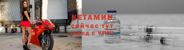 сатива Белоозёрский