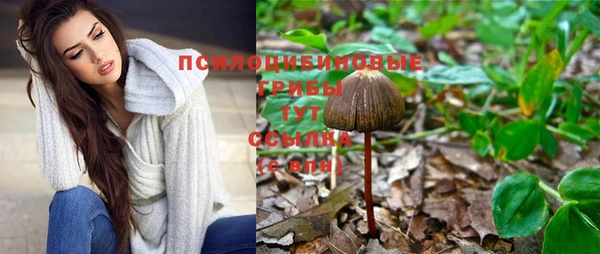 сатива Белоозёрский