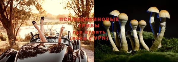 сатива Белоозёрский