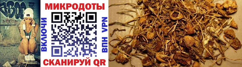 Галлюциногенные грибы Cubensis  Нефтегорск 